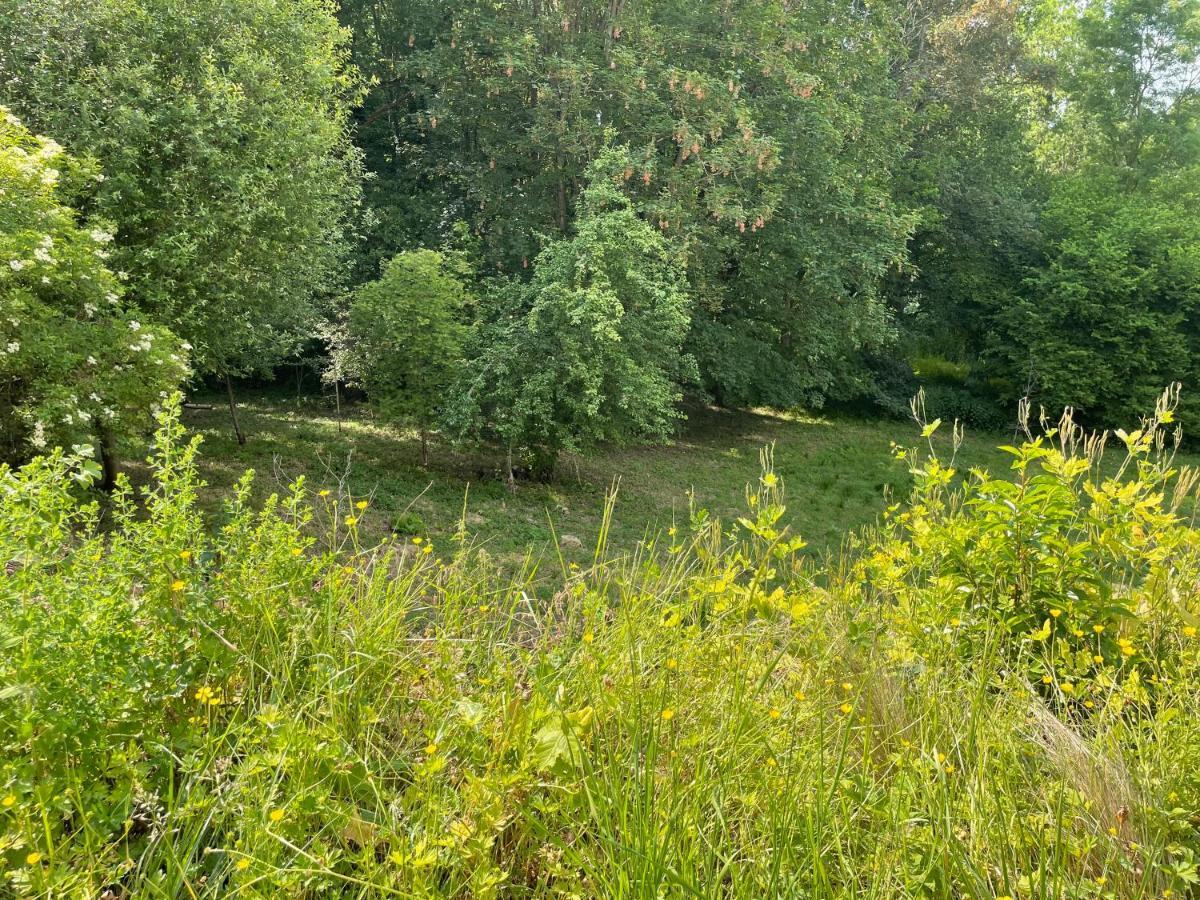 La Canopee Des Arbres, Anna Ellezelles Extérieur photo